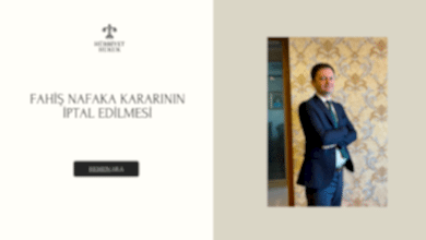 Fahiş Nafaka Kararının İptal Edilmesi